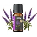 Olejek eteryczny Paczula 10 ml Aroma Space zdjęcie 2