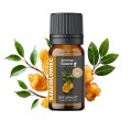 Olejek eteryczny Kadzidłowiec 10 ml Aroma Space zdjęcie 2